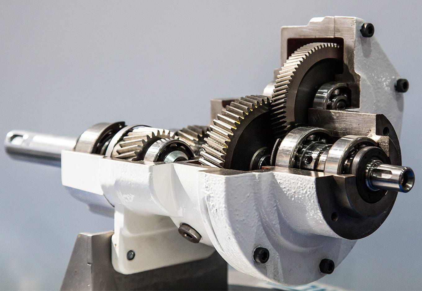 Порно фотосуреттегі үлес